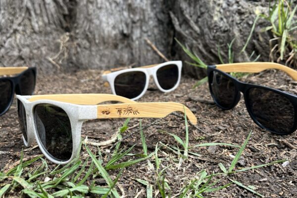 gafas de sol de bambu